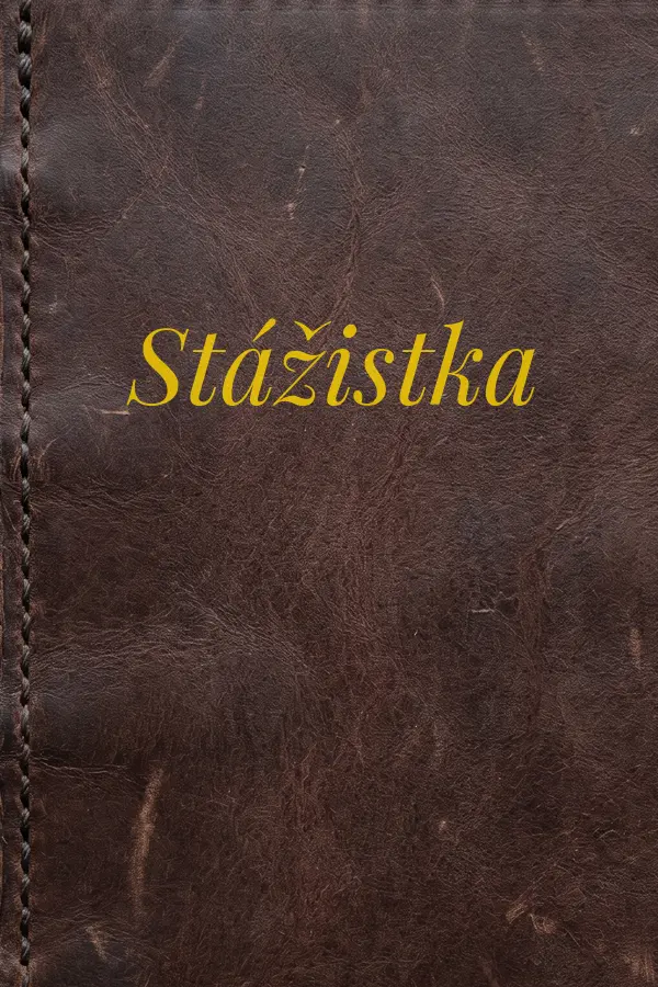Cover of Stážistka