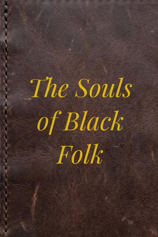 Cover of The Souls of Black Folk