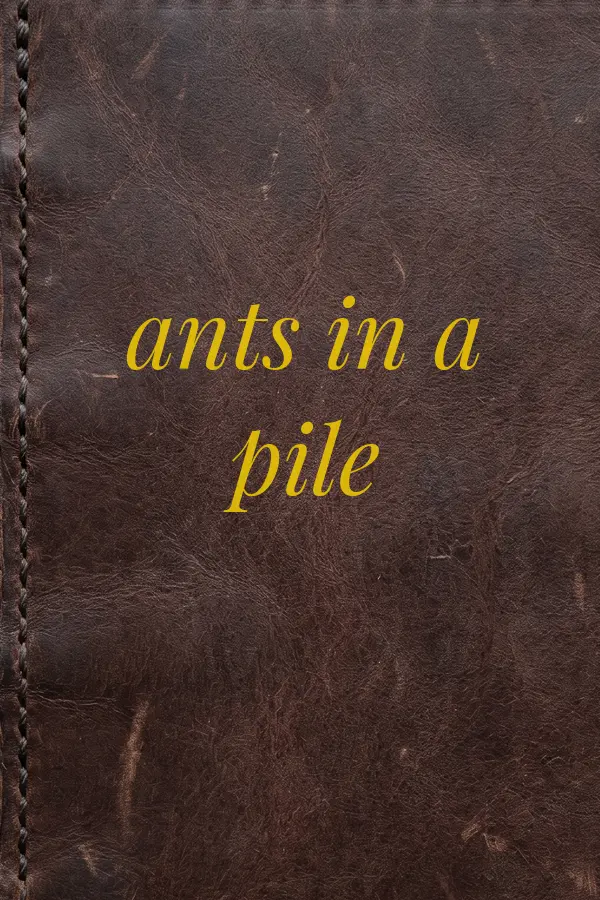 Cover of ants in a pile