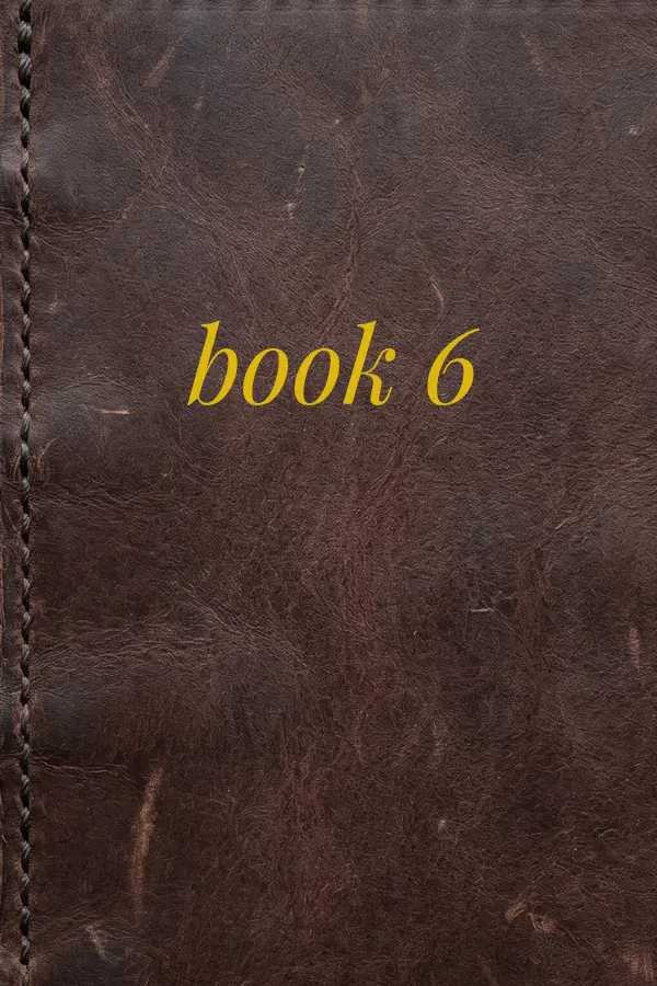 Cover of book 6