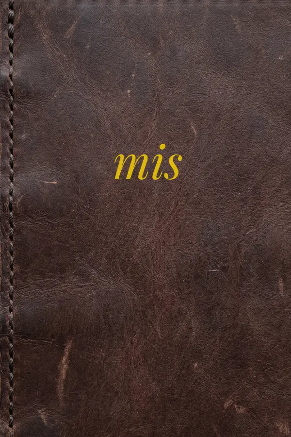 Cover of mis
