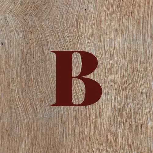 bbb