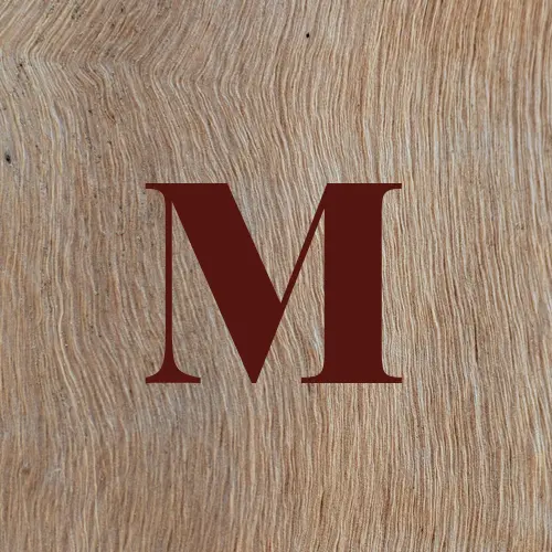 moeinwrites