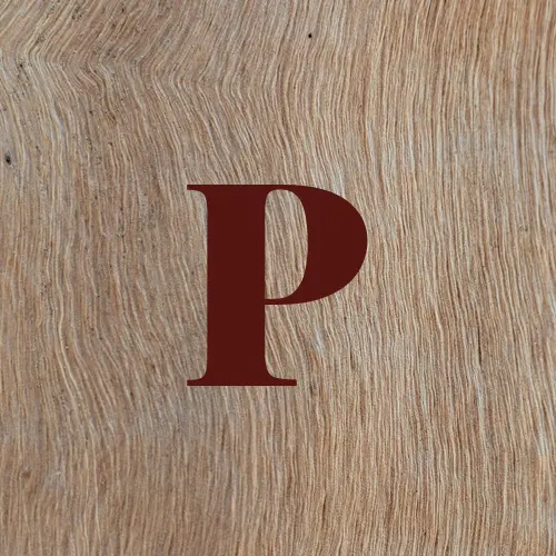 p4k9