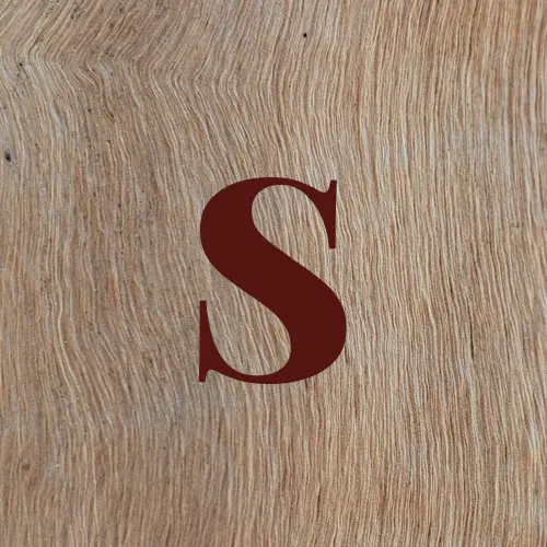 sonyabertelson