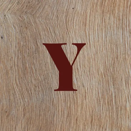 yoyki