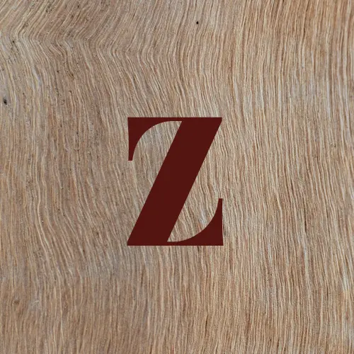 zeinhanafi